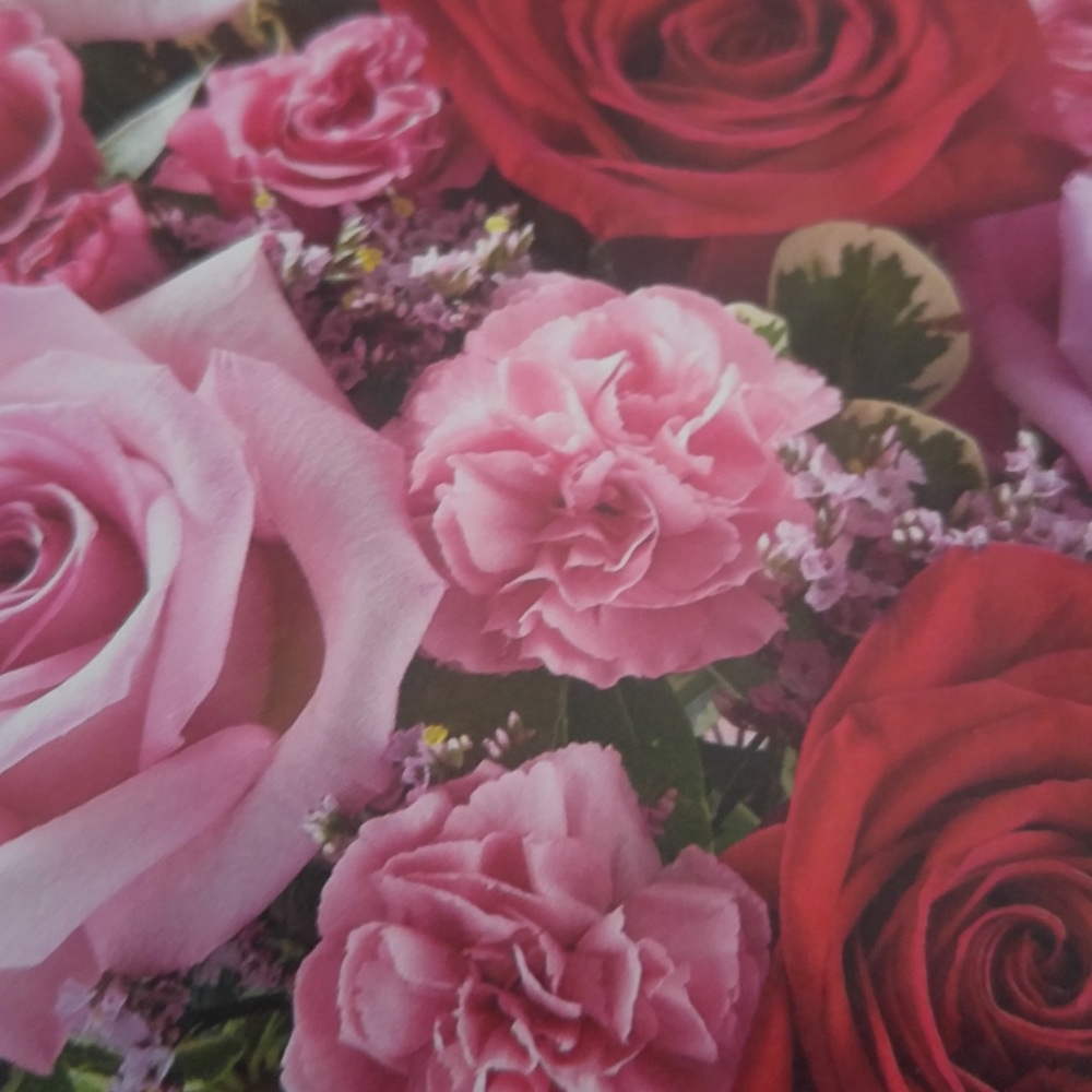 Meet your Posher, Eve!!